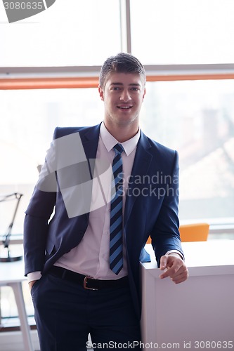 Image of business man at the office