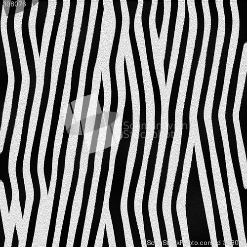 Image of Zebra Fur