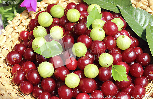 Image of Ripe berries