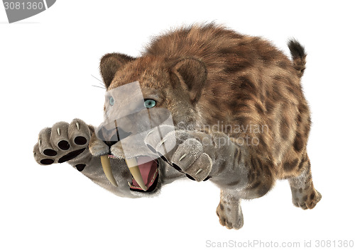 Image of Big Cat Smilodon