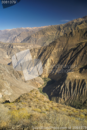 Image of Canon del Colca