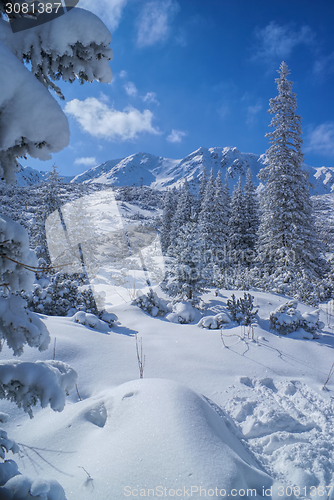 Image of Idyllic winter