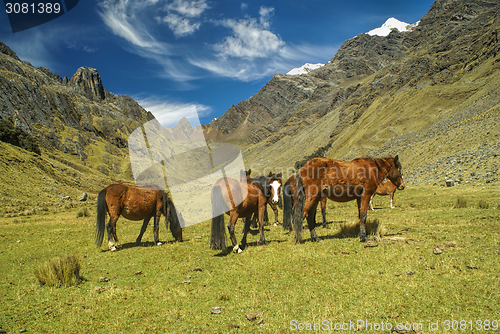 Image of Peruvian Andes