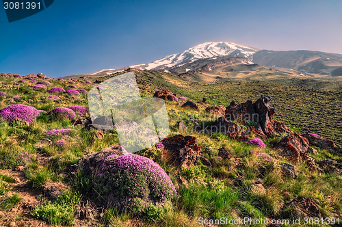 Image of Damavand in Iran