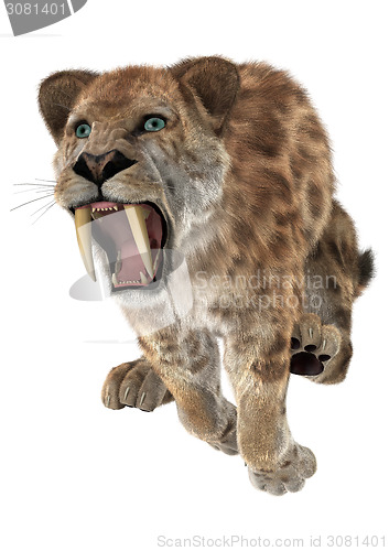 Image of Big Cat Smilodon