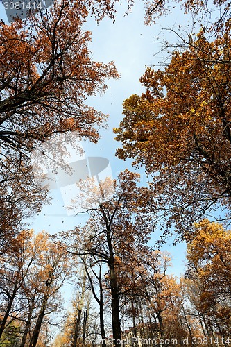 Image of autumn landscape 