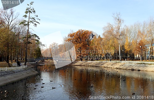 Image of autumn landscape 