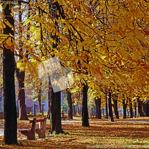 Image of Autumn