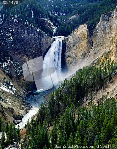 Image of Lower Falls, Yellowstone National Park