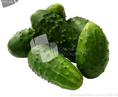 Image of Cucumber Isolated on white