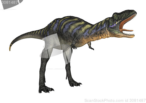 Image of Dinosaur Aucasaurus