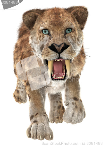 Image of Big Cat Smilodon