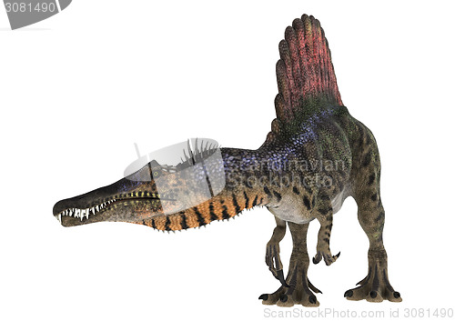 Image of Dinosaur Spinosaurus