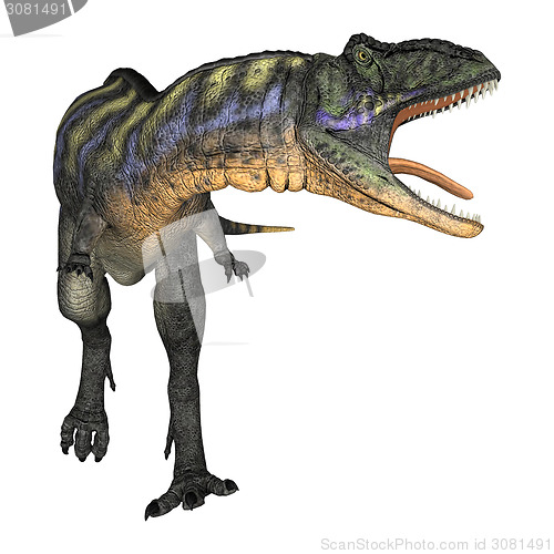 Image of Dinosaur Aucasaurus