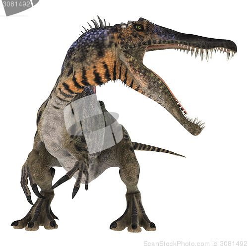 Image of Dinosaur Spinosaurus