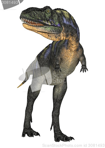 Image of Dinosaur Aucasaurus