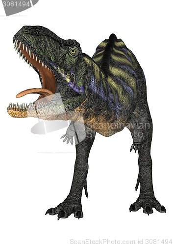 Image of Dinosaur Aucasaurus