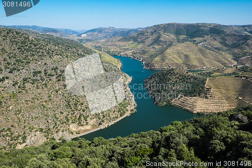 Image of Douro Vineyards by the River