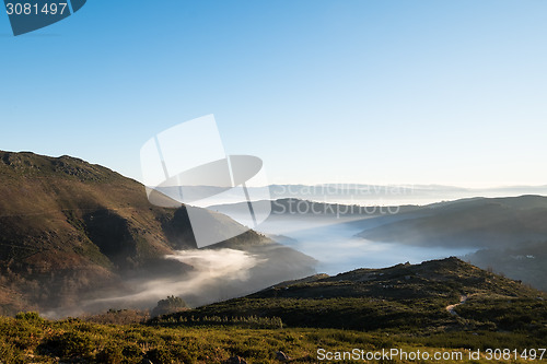 Image of Fog in the Valley