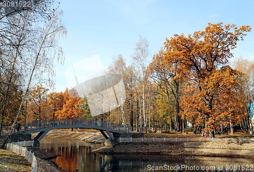 Image of autumn landscape 