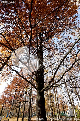 Image of autumn landscape 