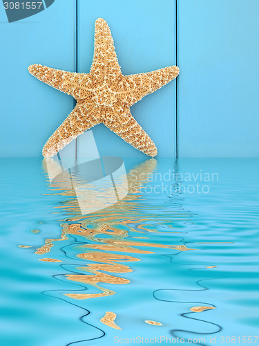 Image of Starfish Beauty