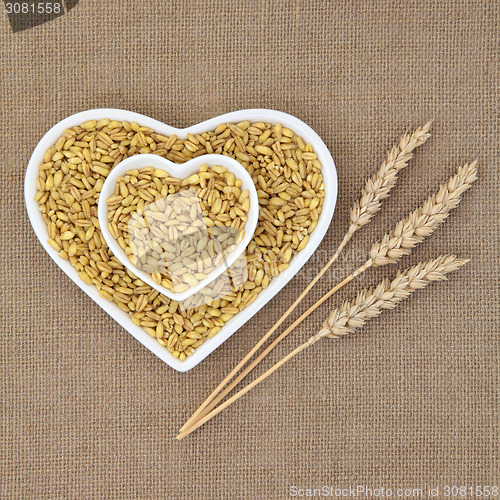 Image of Kamut Khorasan Wheat