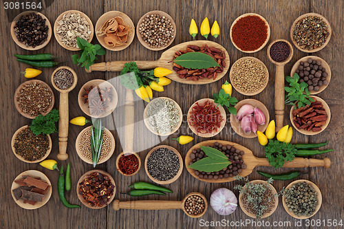 Image of Chilli Spices and Herbs