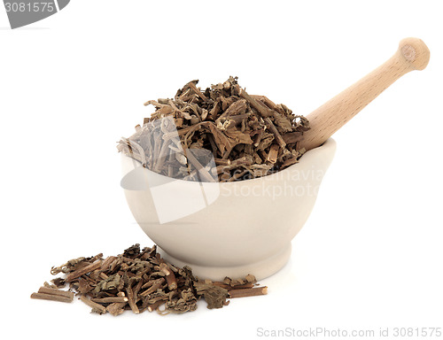 Image of Korean Mint Herb