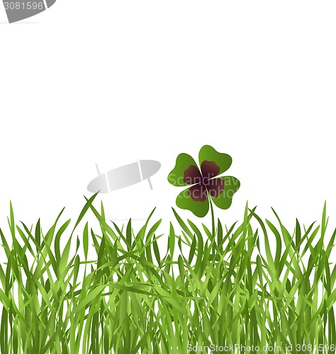 Image of shamrock leaf in grass