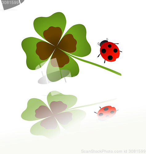 Image of ladybird and shamrock leaf 