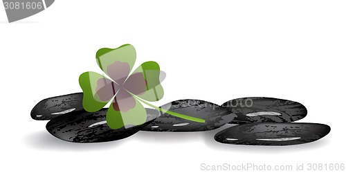 Image of shamrock leaf on black stones