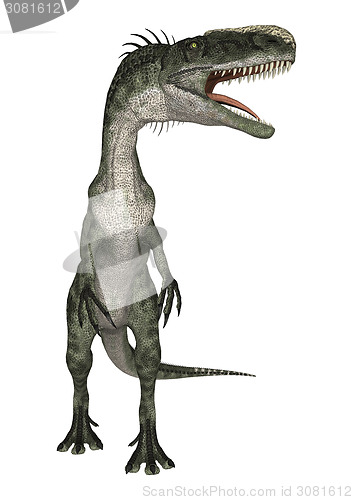 Image of Dinosaur Monolophosaurus