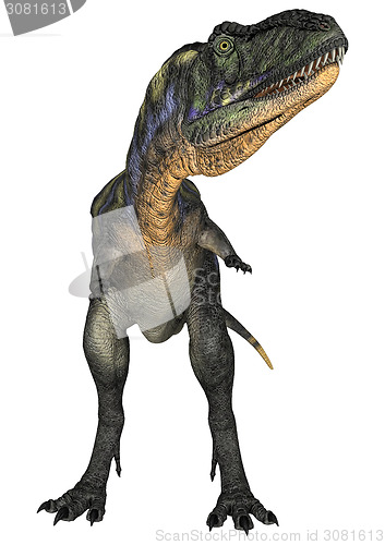 Image of Dinosaur Aucasaurus