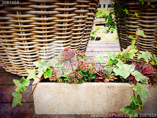 Image of Baskets and blooming plants, garden decoration