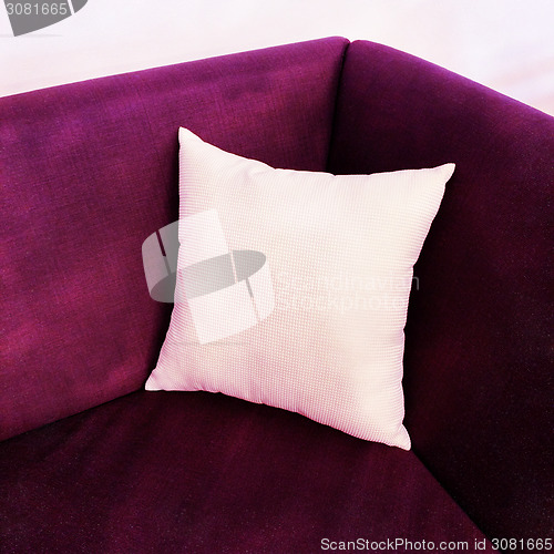 Image of Fancy purple sofa with white cushion