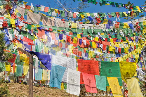 Image of Buddhist prayer flags in  Dharamshala, India