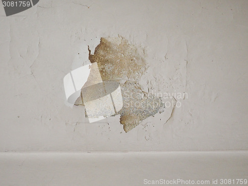 Image of Damp moisture