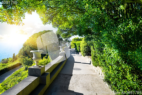 Image of Flowerpots in park