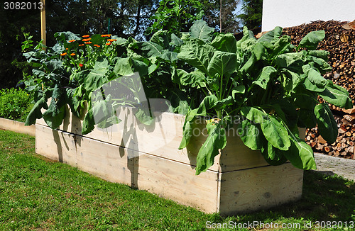 Image of Raised bed