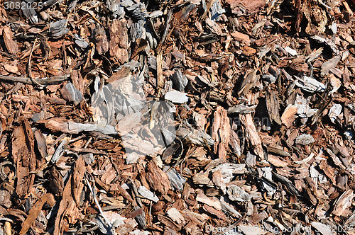 Image of Bark mulch