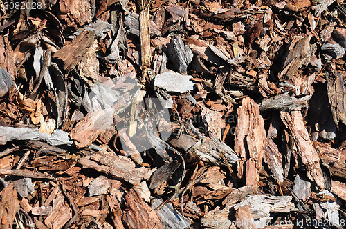 Image of Bark mulch