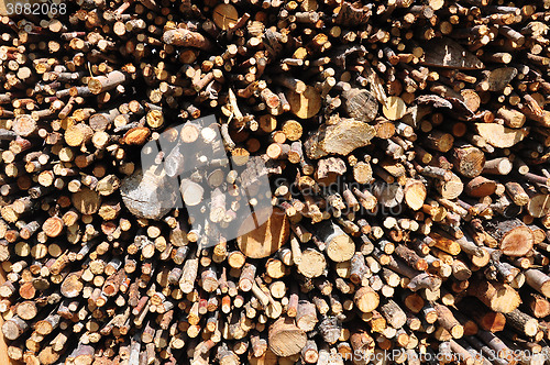 Image of Wood pile