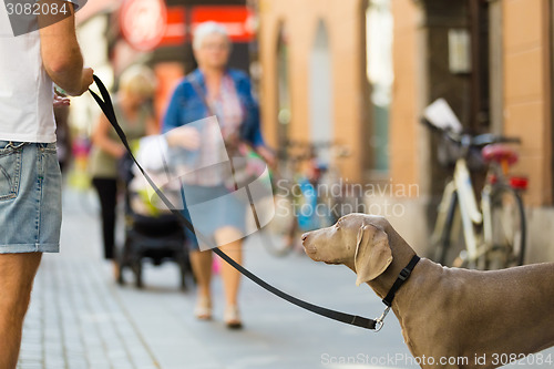 Image of Guy with dog on leash.