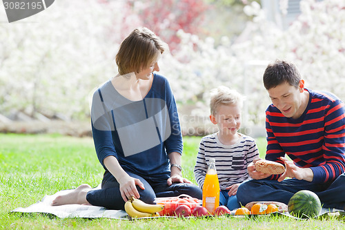 Image of family picnic