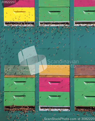 Image of Colorful hive