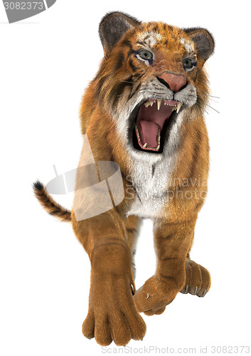 Image of Hunting Tiger