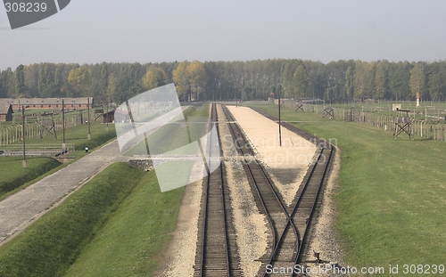 Image of The railway to dead.
