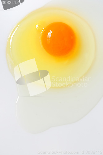 Image of Egg yolk close up
