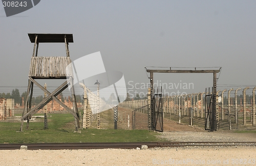 Image of Birkenau